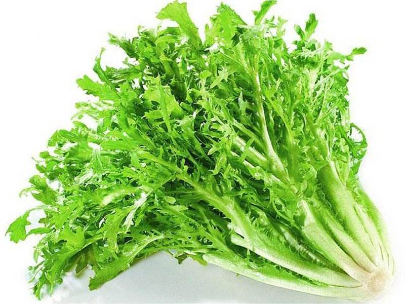 食材配送從生產(chǎn)、采摘再到蔬菜配送無縫銜接